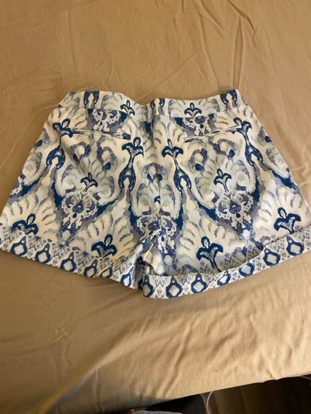 Shorts - Picture 4 of 4